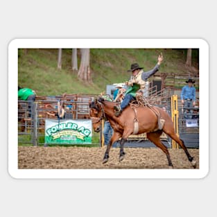 RODEOS, HORSES, COWBOYS Sticker